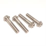 Set 4 viti inox M8x40 Showa-KYB-EPICA WORKS FORK